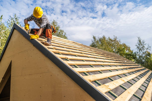 Roof Gutter Cleaning in Carthage, MO